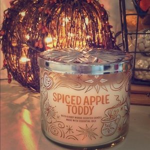 BRAND-NEW Bath and Body Works Spiced Apply Toddy